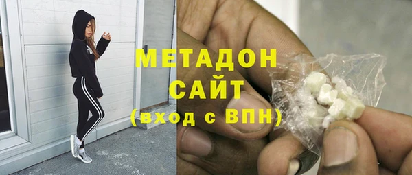 шишки Арсеньев