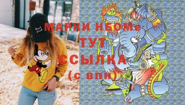 шишки Арсеньев