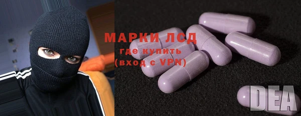 шишки Арсеньев