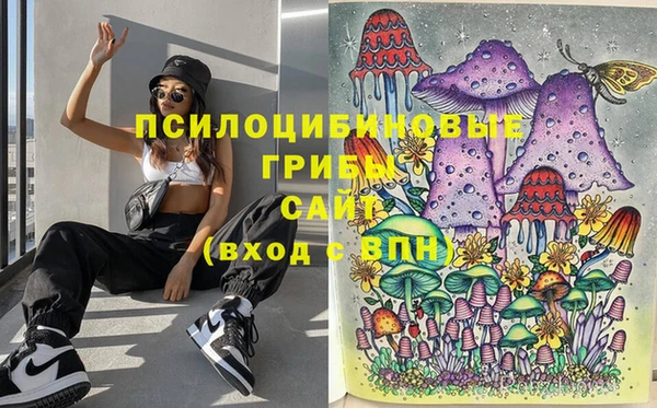 шишки Арсеньев