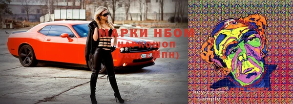 шишки Арсеньев