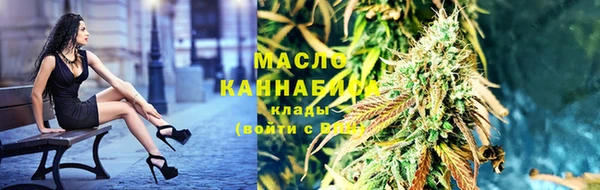 шишки Арсеньев