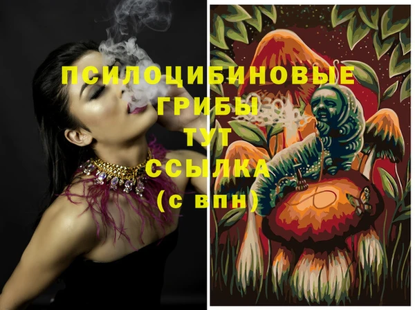 шишки Арсеньев