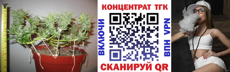 ТГК вейп  где найти   мега маркетплейс  Моздок 