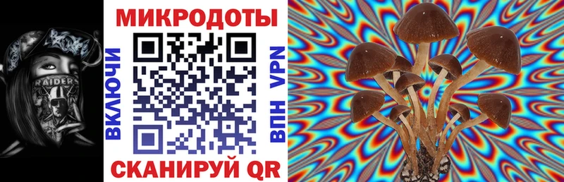 Псилоцибиновые грибы Cubensis  KRAKEN маркетплейс  Моздок  наркота 